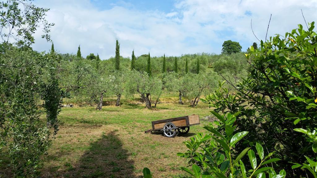 Ulivi Di Castello Bed & Breakfast Florence Exterior photo